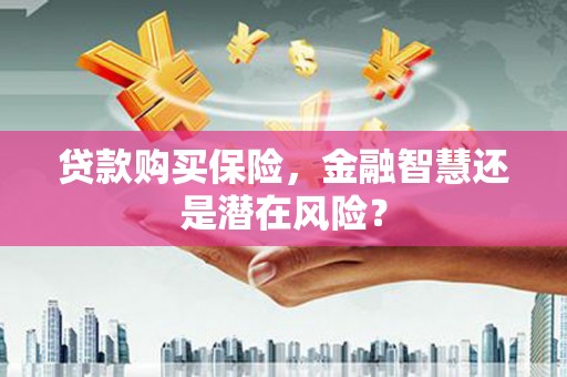 乐清贷款购买保险，金融智慧还是潜在风险？