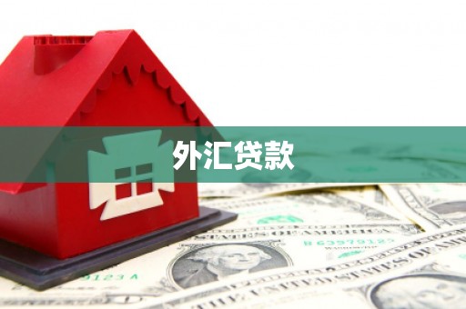 乐清外汇贷款