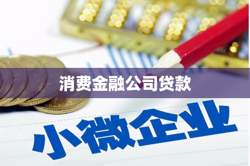 乐清消费金融公司贷款