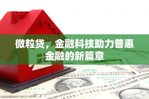 乐清微粒贷，金融科技助力普惠金融的新篇章