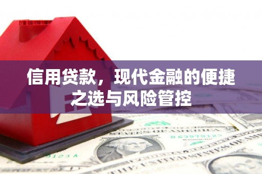 乐清信用贷款，现代金融的便捷之选与风险管控