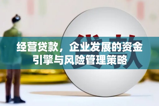 乐清经营贷款，企业发展的资金引擎与风险管理策略
