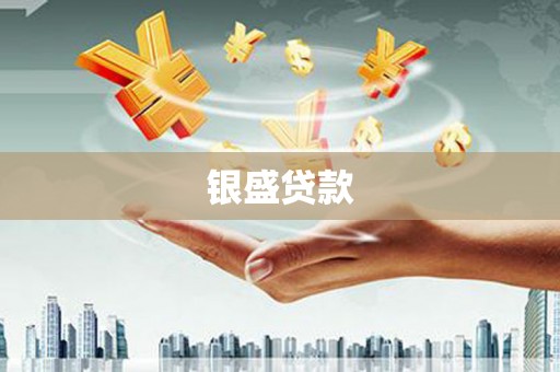 乐清银盛贷款