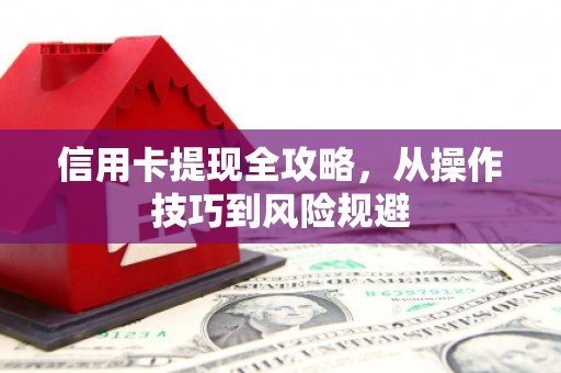 乐清信用卡提现全攻略，从操作技巧到风险规避