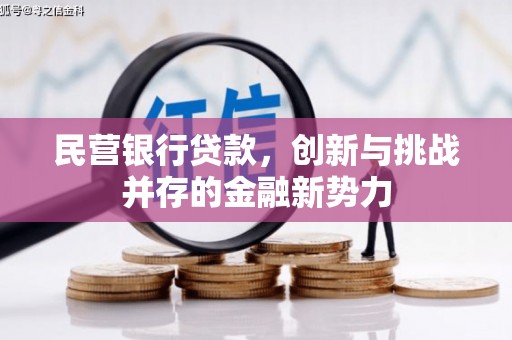 乐清民营银行贷款，创新与挑战并存的金融新势力