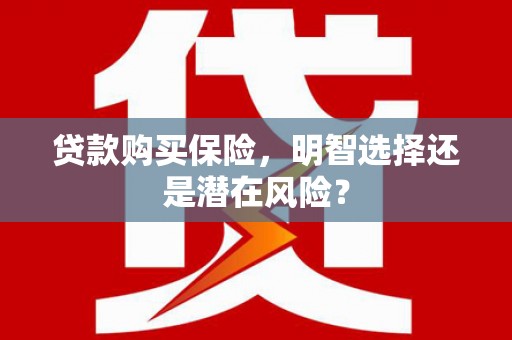 乐清贷款购买保险，明智选择还是潜在风险？