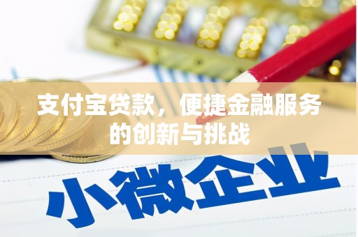 乐清支付宝贷款，便捷金融服务的创新与挑战