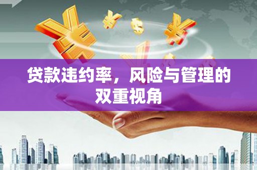 乐清贷款违约率，风险与管理的双重视角