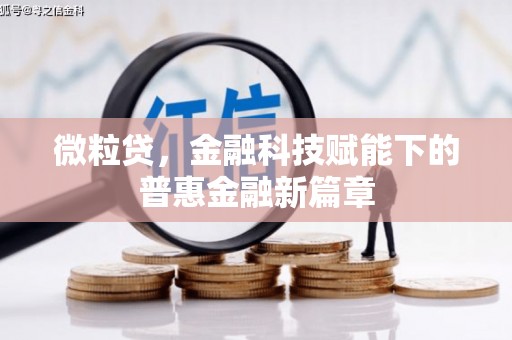 乐清微粒贷，金融科技赋能下的普惠金融新篇章