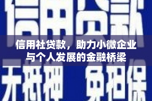 乐清信用社贷款，助力小微企业与个人发展的金融桥梁