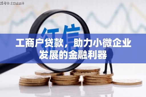 乐清工商户贷款，助力小微企业发展的金融利器