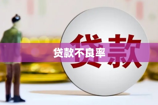 乐清贷款不良率