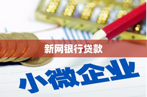 乐清新网银行贷款