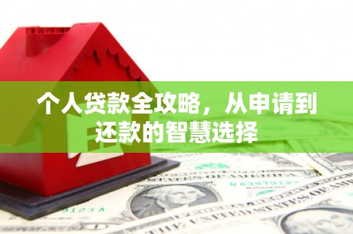 乐清个人贷款全攻略，从申请到还款的智慧选择