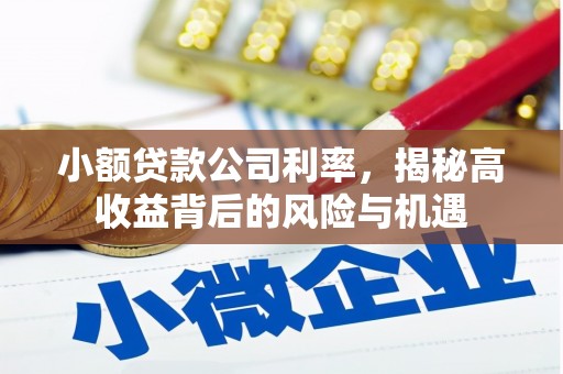 乐清小额贷款公司利率，揭秘高收益背后的风险与机遇