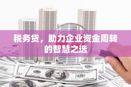 乐清税务贷，助力企业资金周转的智慧之选