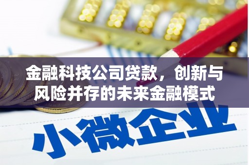 乐清金融科技公司贷款，创新与风险并存的未来金融模式