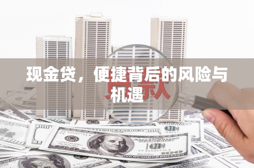 乐清现金贷，便捷背后的风险与机遇
