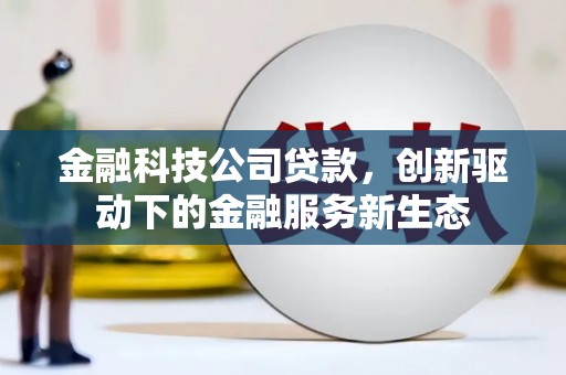 乐清金融科技公司贷款，创新驱动下的金融服务新生态