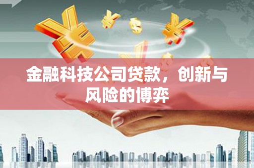 乐清金融科技公司贷款，创新与风险的博弈