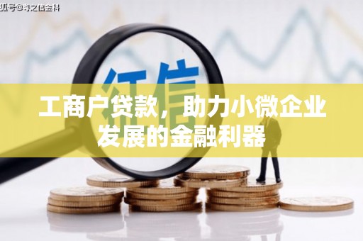 乐清工商户贷款，助力小微企业发展的金融利器