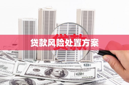 乐清贷款风险处置方案