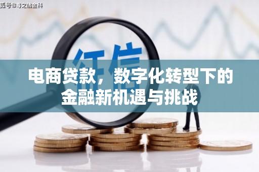 乐清电商贷款，数字化转型下的金融新机遇与挑战