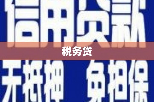 乐清税务贷