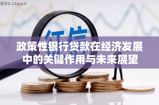 乐清政策性银行贷款在经济发展中的关键作用与未来展望
