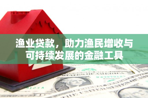 乐清渔业贷款，助力渔民增收与可持续发展的金融工具