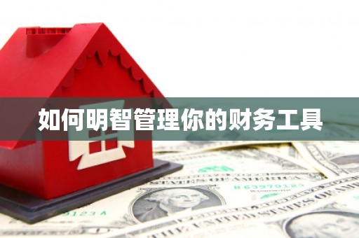 乐清如何明智管理你的财务工具