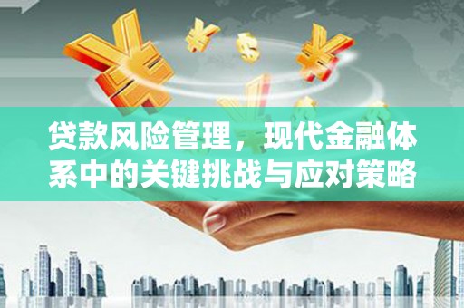 乐清贷款风险管理，现代金融体系中的关键挑战与应对策略