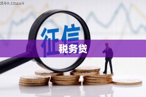 乐清税务贷