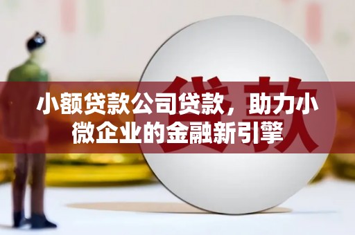乐清小额贷款公司贷款，助力小微企业的金融新引擎
