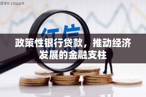 乐清政策性银行贷款，推动经济发展的金融支柱