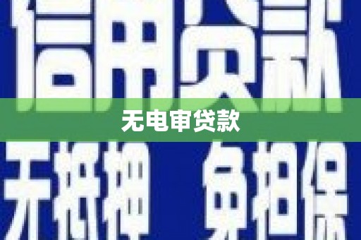 乐清无电审贷款