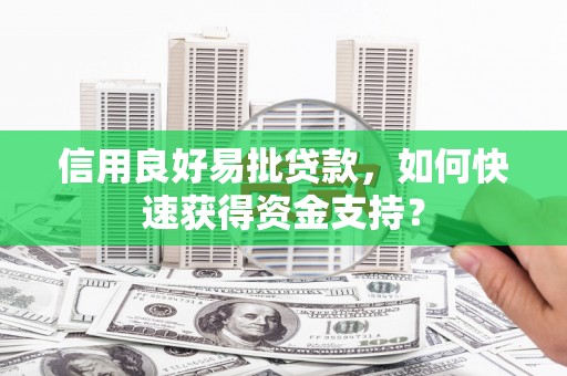 乐清信用良好易批贷款，如何快速获得资金支持？