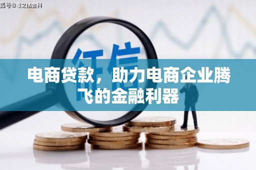 乐清电商贷款，助力电商企业腾飞的金融利器
