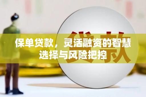 乐清保单贷款，灵活融资的智慧选择与风险把控