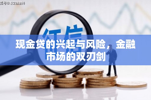 乐清现金贷的兴起与风险，金融市场的双刃剑