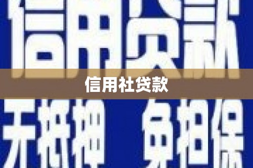 乐清信用社贷款