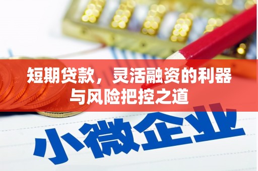 乐清短期贷款，灵活融资的利器与风险把控之道