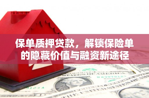 乐清保单质押贷款，解锁保险单的隐藏价值与融资新途径