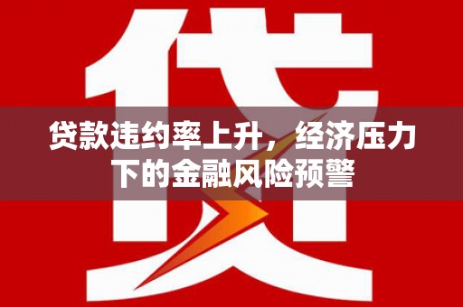 乐清贷款违约率上升，经济压力下的金融风险预警