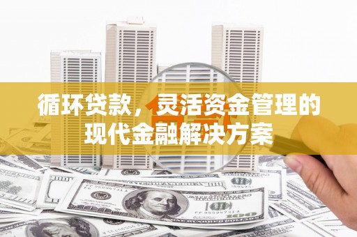 乐清循环贷款，灵活资金管理的现代金融解决方案