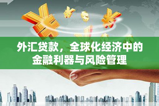 乐清外汇贷款，全球化经济中的金融利器与风险管理