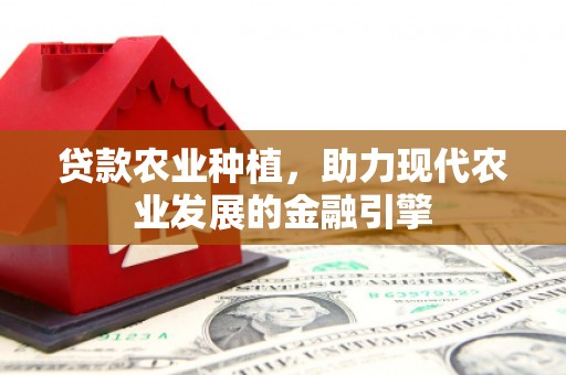 乐清贷款农业种植，助力现代农业发展的金融引擎