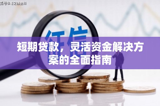 乐清短期贷款，灵活资金解决方案的全面指南