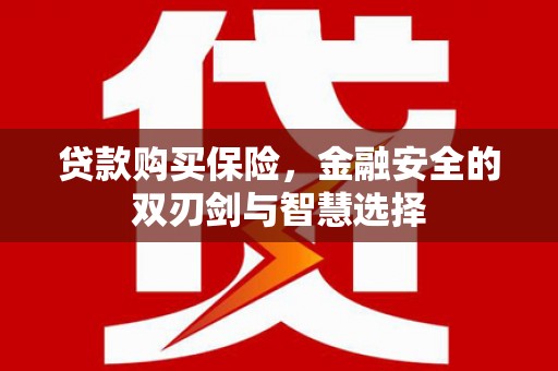 乐清贷款购买保险，金融安全的双刃剑与智慧选择