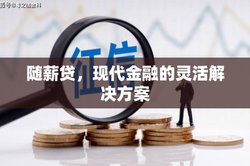 乐清随薪贷，现代金融的灵活解决方案